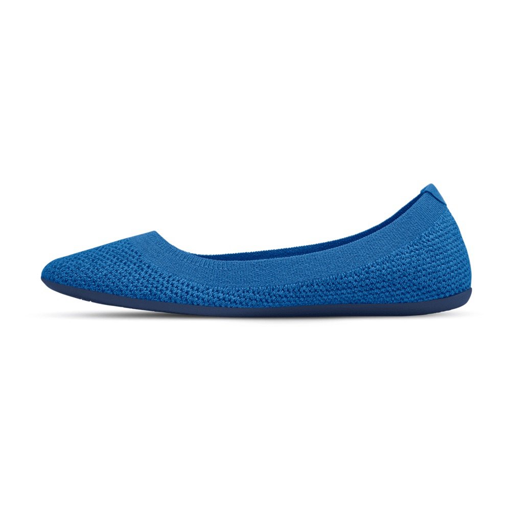 Allbirds Women\'s Flats Blue - Tree Breezers - 42697CGUF